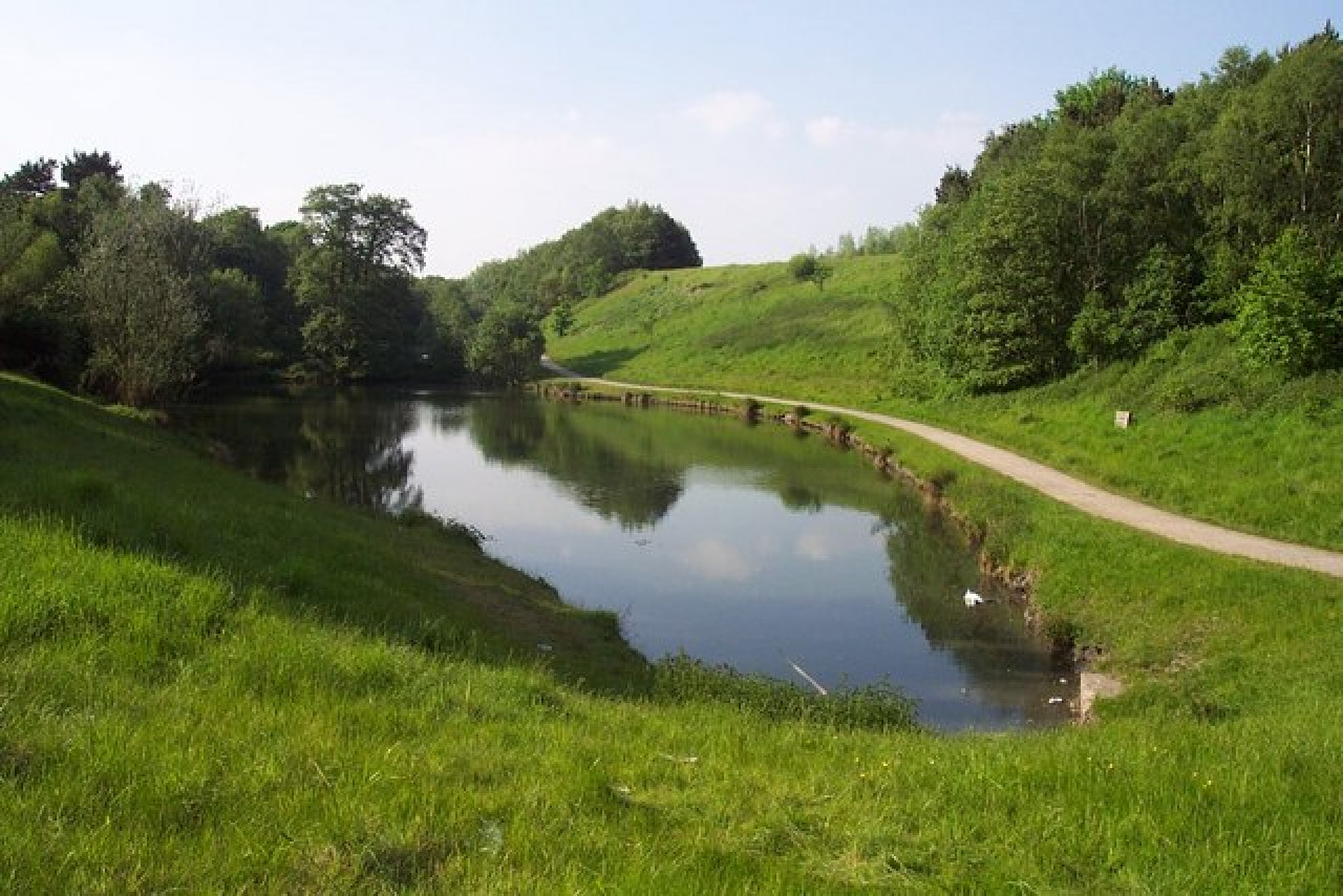 Cannock Chase Birches Valley Forest Centre, Penkridge Bank, Slitting